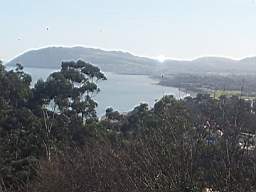 fkillineybeforeinternal 1570.jpg